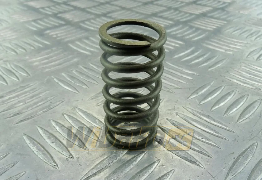 Valve spring wbk 9271825 – new