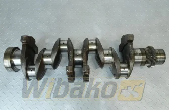 Crankshaft for engine Hanomag D943 R194904127