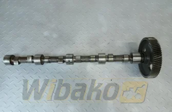 Camshaft for engine Hanomag D943 194318121