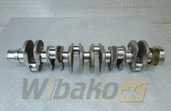 Crankshaft for engine Deutz BF6M1013 04209125R