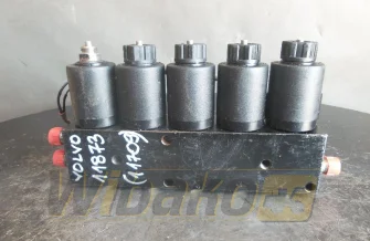 Valves set Volvo ZS-T02-A11101P-MD28G-J3-01 14526668