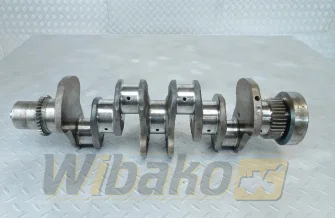 Crankshaft for engine Cummins 3.9 2831067