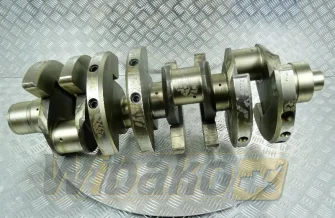 Crankshaft STD NN 9079568