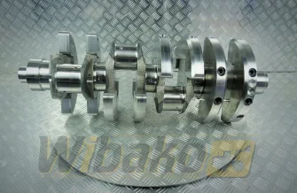 Crankshaft STD WBK 9079568