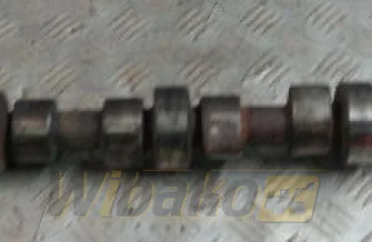 Camshaft Cummins 4893202