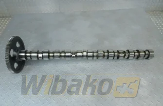 Camshaft for engine Cummins LT10 3895809