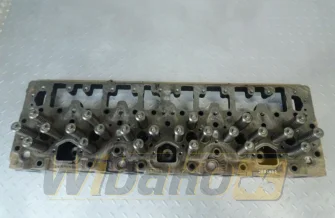 Cylinder head for engine Cummins M11 3084652
