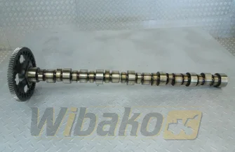 Camshaft for engine Cummins M11 4059893