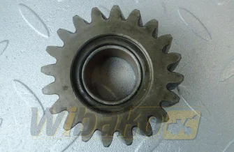 Oil pump gear Z= 20 Perkins 3117A051