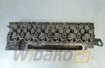 Cylinder head for engine Cummins QSL9 5319545