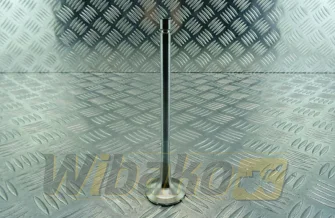 Exhaust valve TRW 16210