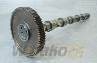 Camshaft for engine Deutz TCD2013 L06 2V 04511872