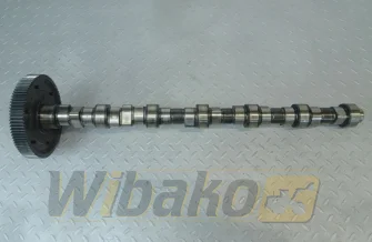 Camshaft for engine Deutz TCD2013 L06 2V 04291070