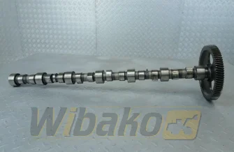 Camshaft for engine Cummins 8.3 3924471