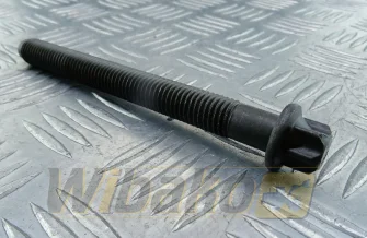 Cylinder head bolt M14x2x140mm wbk 04202005