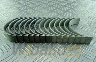 Main bearings 0.25, 6 cyl. Kolbenschmidt 77539610