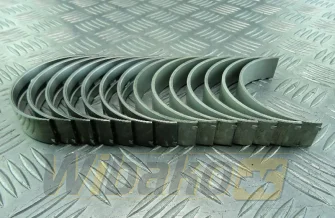 Main bearings 0.50, 6 cyl. Kolbenschmidt 77539620