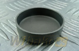 Plug Deutz 45 01148032
