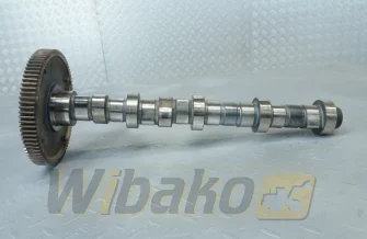 Camshaft for engine Deutz TCD2012 L04 2V 04511876