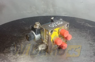 Valves set Bosch 0810091353/081WV06P1N1002CS024/00D0
