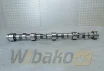 Camshaft M20 for engine Liebherr D924 9882797 – used