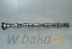 Camshaft for engine Cummins QSB6.7 3979506 – used