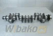 Crankshaft for engine Cummins QSB6.7 5301008 – used