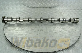 Camshaft for engine Cummins QSB6.7 3979506