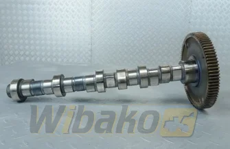 Camshaft for engine Deutz TCD2012 L04 2V 04511876