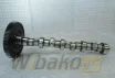 Camshaft for engine Deutz BF4M2012 04513676 – used