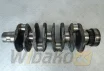 Crankshaft Deutz 04502837 – used
