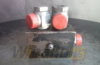 Valves set Hanomag 60E 