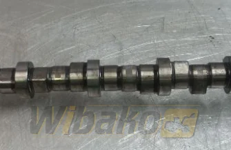 Camshaft Volvo D6D 04252873