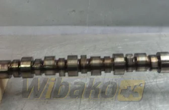 Camshaft Cummins QSM11 33202R3