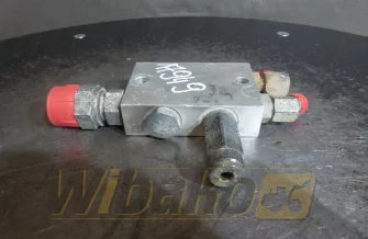 Valves set CASE 311652A1 