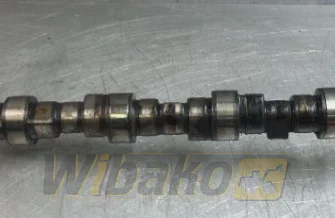 Camshaft for engine Deutz BF6M1013 04202615