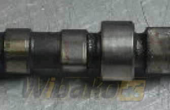 Camshaft Cummins 3935715