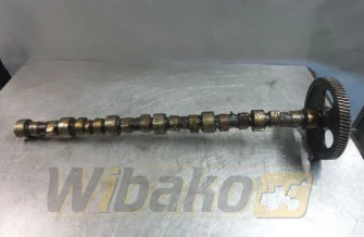 Camshaft for engine Cummins 8.3 3924471-2