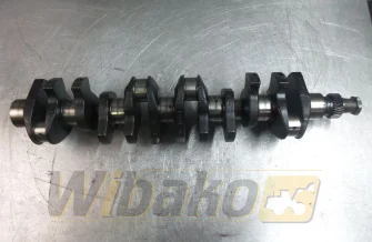 Crankshaft VM Motori 27B/4 2074G