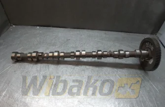 Camshaft for engine Case 6T-590 3914639