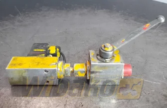 Valves set PIH1113 BKH8S