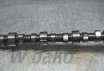 Camshaft Cummins 3966431 – used