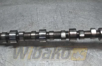 Camshaft Cummins 3966431