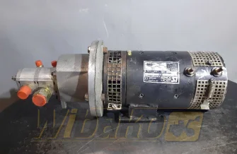 Electropump Leroy Somer T15 733952/03-01/99