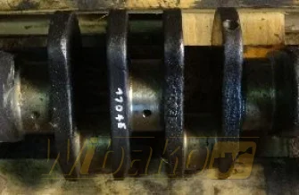Crankshaft Cummins 5.9 3945258