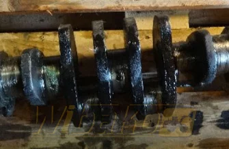Crankshaft for engine Cummins 5.9 3907804