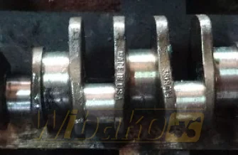 Crankshaft for engine Cummins LT10 3819624