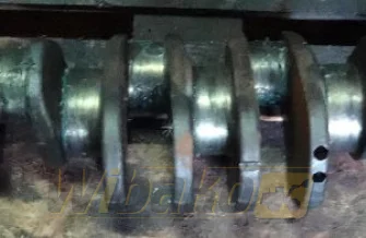 Crankshaft Cummins QSL 538/8.9 