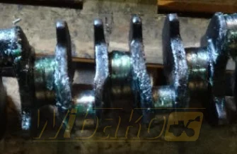 Crankshaft for engine Deutz BF6M1012 04204215R