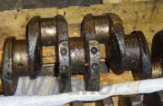 Crankshaft Isuzu 6BD1 